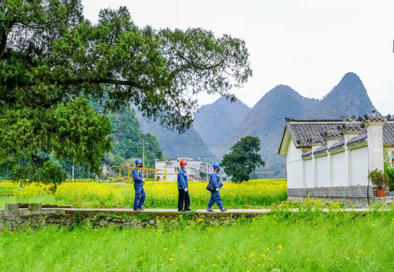 平塘供電局：“網(wǎng)格化”服務(wù)，護(hù)航“菜籃子”