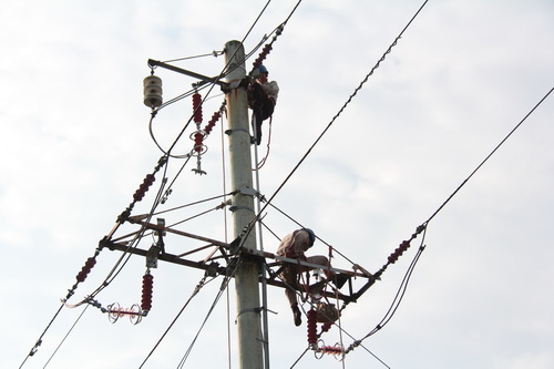 國網霞浦供電公司加裝線路避雷器，保障兩節(jié)期間電網可靠性