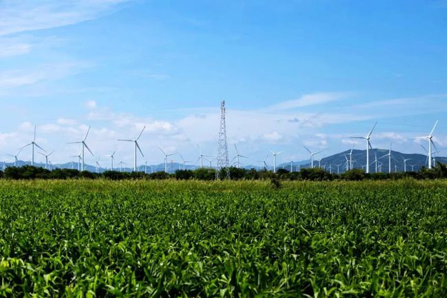 收購墨西哥818MW光伏電站，國家電投境外光伏電站裝機(jī)超6GW