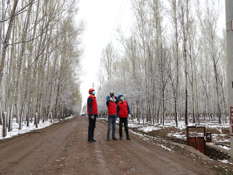 國網(wǎng)伊犁伊河供電公司四月飛雪，電力員工巡視線路保供電