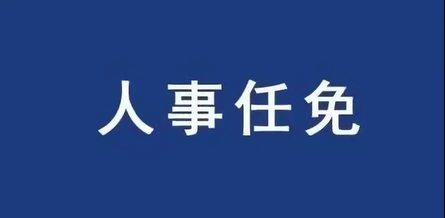 重磅！張智剛?cè)螄译娋W(wǎng)總經(jīng)理、黨組副書記，韓君出任三峽集團(tuán)總經(jīng)理