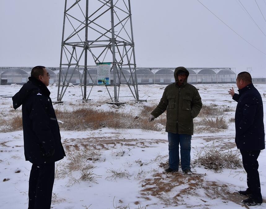 二連浩特供電公司：開展客戶側(cè)安全檢查，確?？诎犊蛻粝楹兔髁吝^春節(jié)