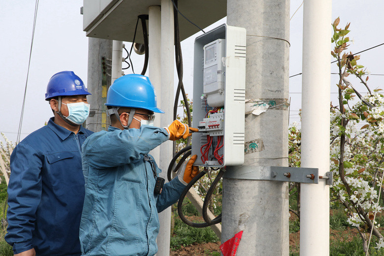 國網諸城市供電公司電力足，千畝梨園花正濃