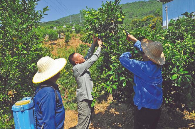 王國洲：把村事當家事，把村民當親人