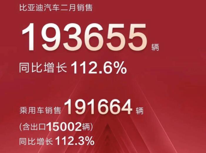 2月新能源車企成績單出爐，比亞迪一騎絕塵