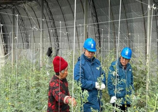 山東惠民供電公司：走訪種植大棚，優(yōu)化農(nóng)業(yè)營商環(huán)境
