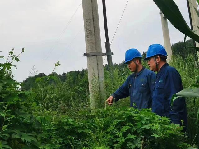 國網長春供電公司積極應對極端天氣，確保線路設備穩(wěn)定運行