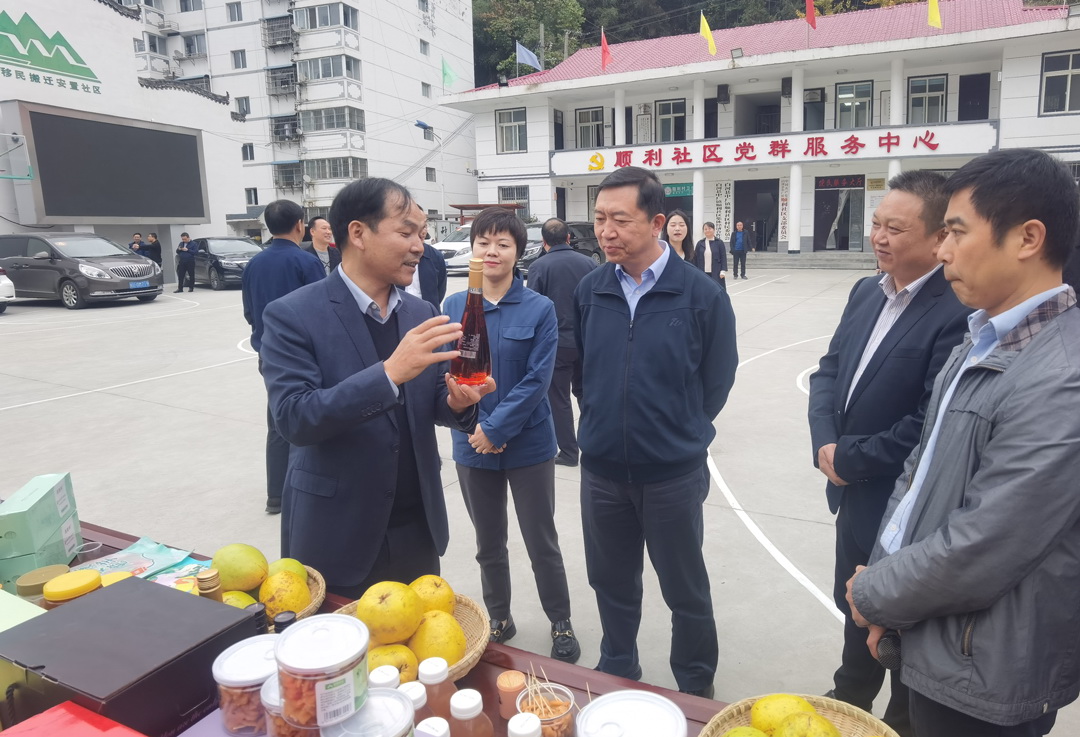 中核集團(tuán)總經(jīng)理、黨組副書記顧軍赴陜西白河、旬陽調(diào)研鄉(xiāng)村振興工作