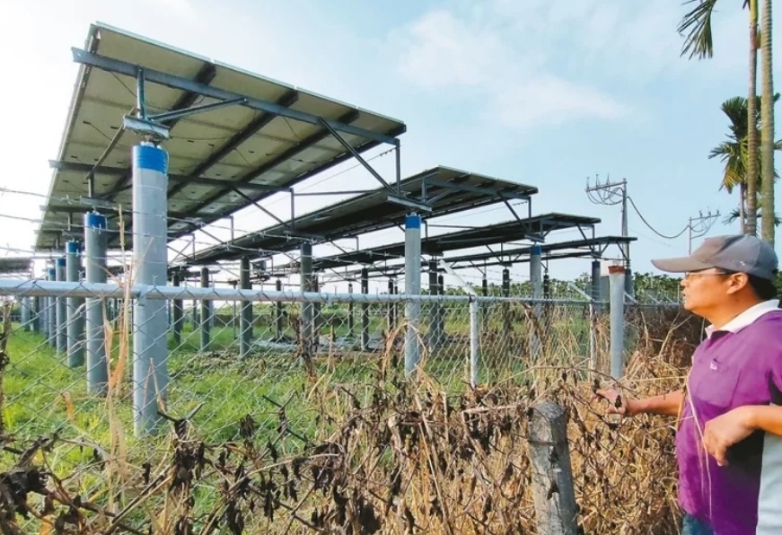 臺媒：農(nóng)田“種電”讓農(nóng)民苦不堪言，島內(nèi)面臨農(nóng)電兩失困境