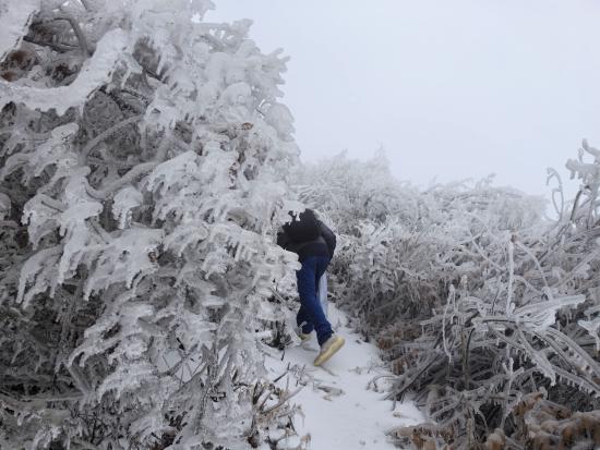 【新春走基層】迎雪而上攻堅行，奮戰(zhàn)不息護光明