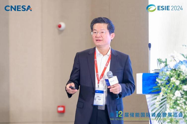 林澤波：儲能企業(yè)出海不是價格競爭，而是以定制優(yōu)質(zhì)產(chǎn)品和服務(wù)實現(xiàn)可持續(xù)發(fā)展