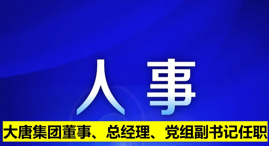 大唐集團董事、總經(jīng)理、黨組副書記任職